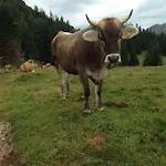 Beim Joaser
